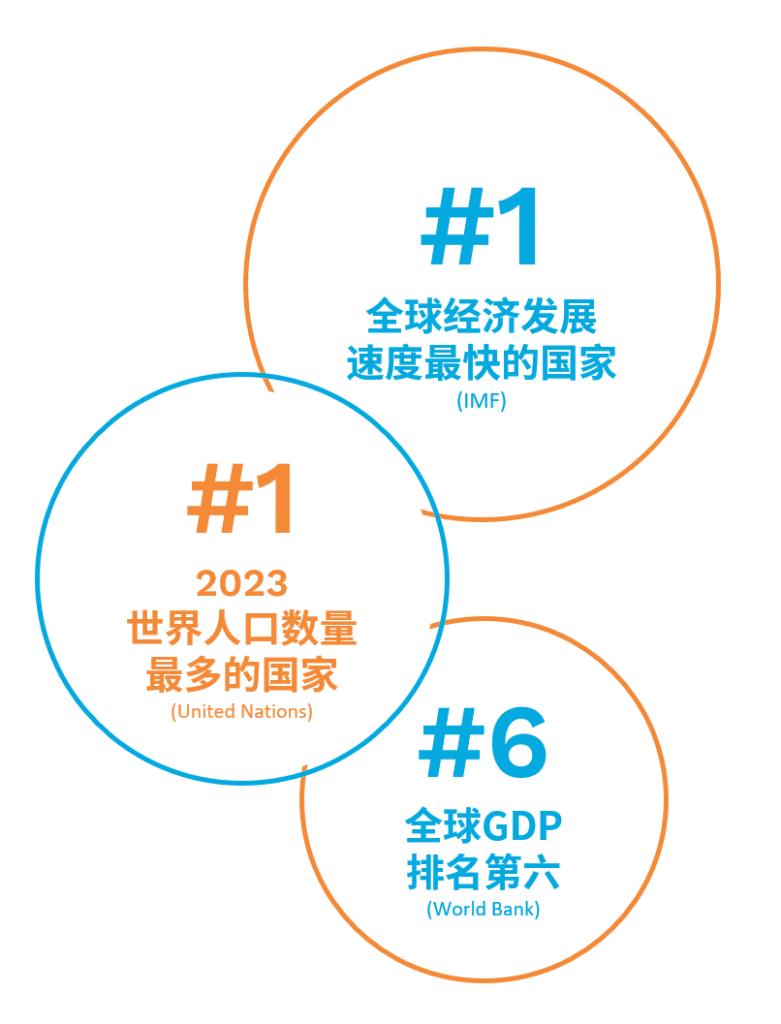 领航国际官方网站图片